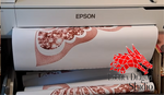 Adhesive Vinyl Print ONLY